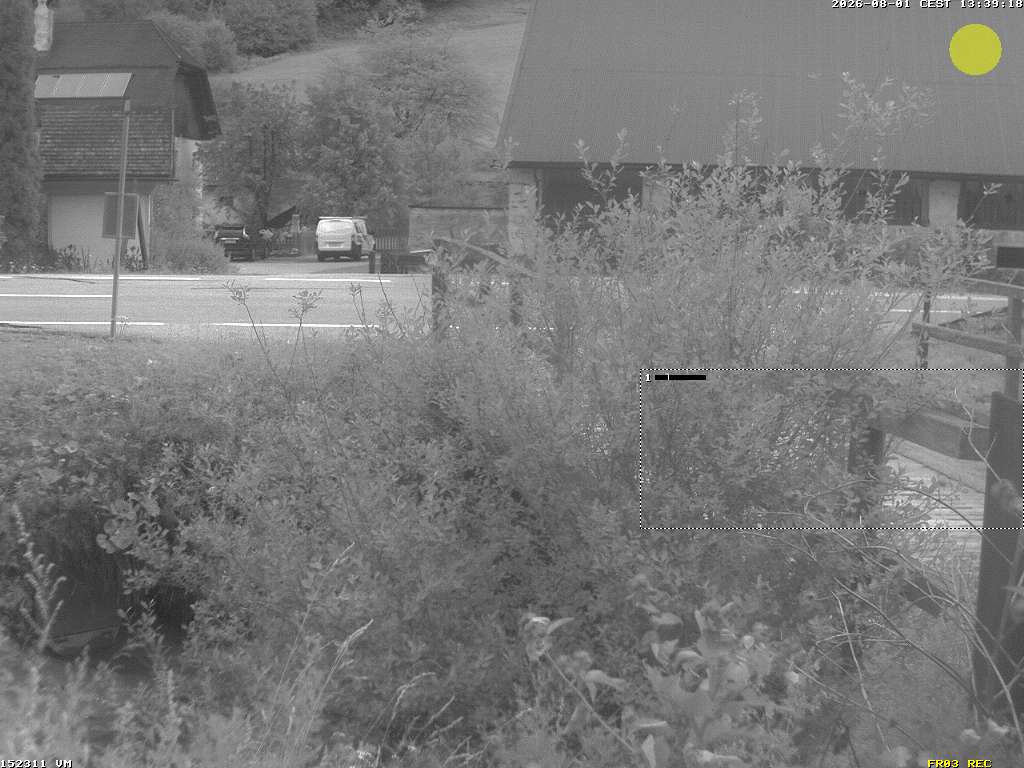 Camera Live Image