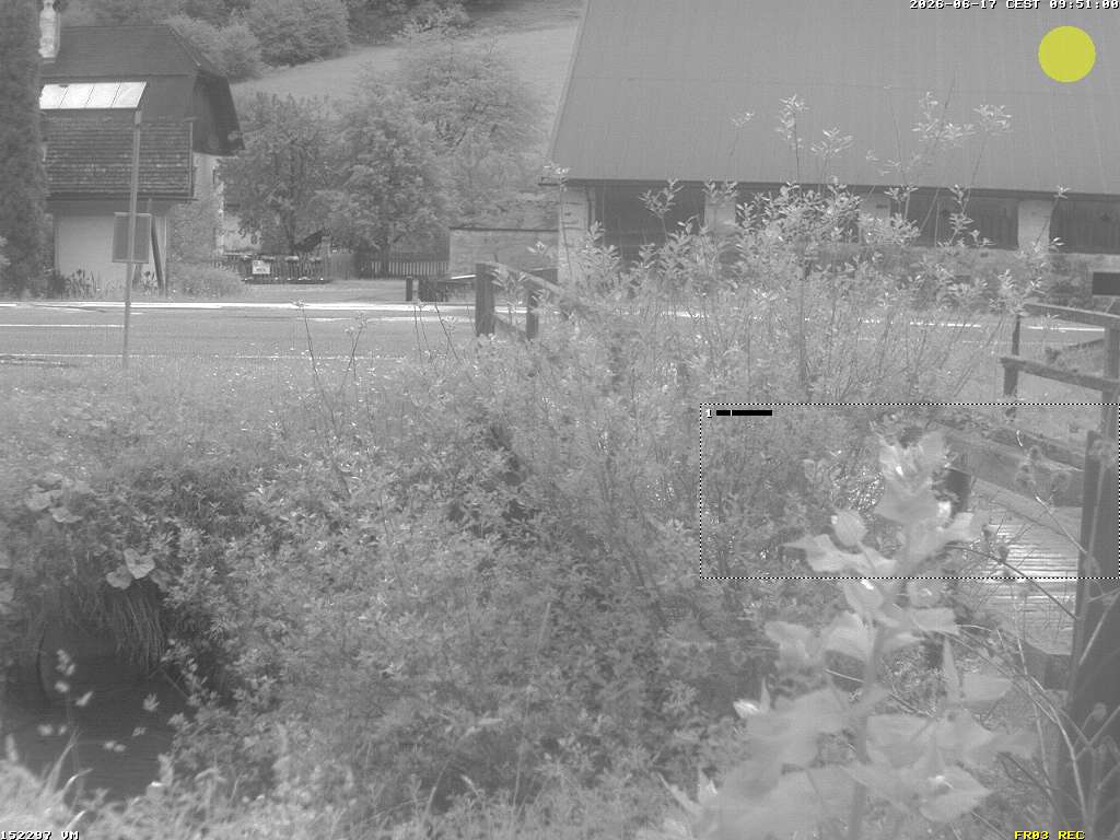 Camera Live Image