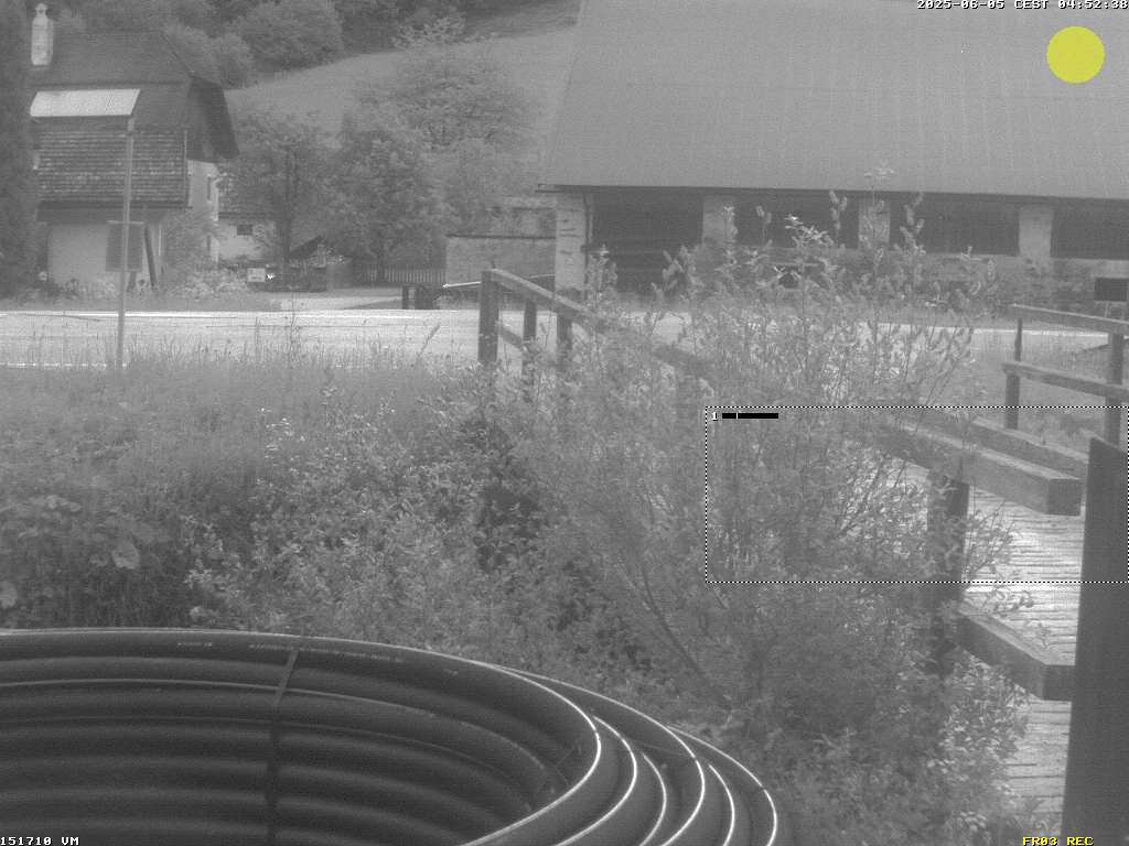 Camera Live Image