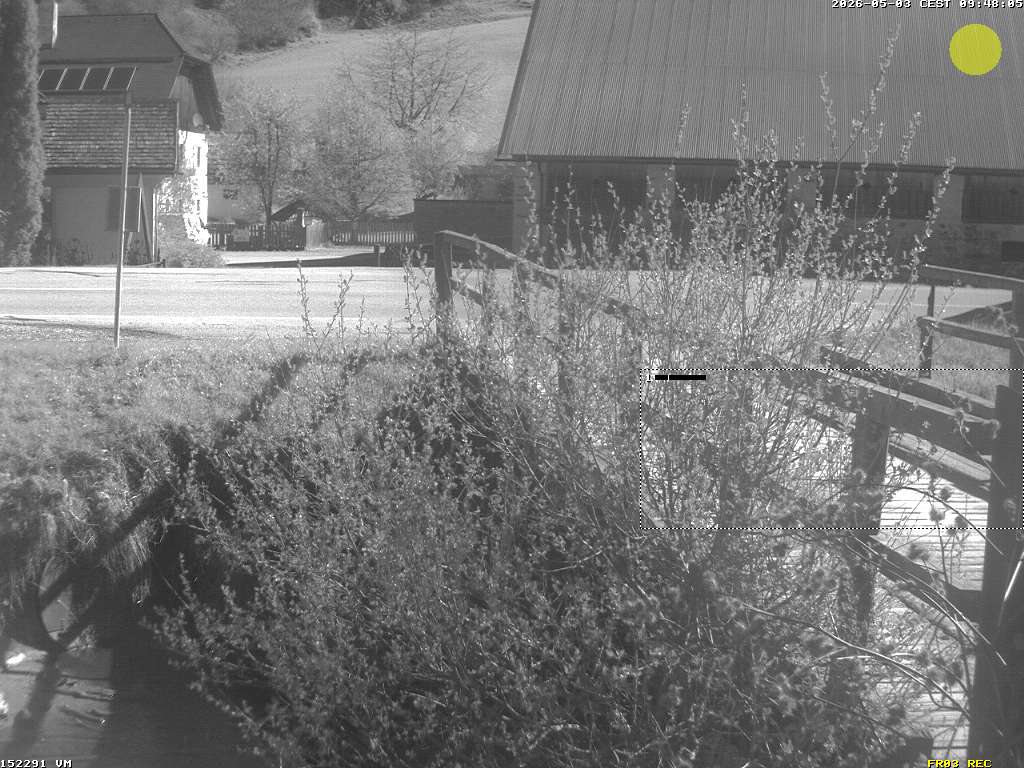 Camera Live Image
