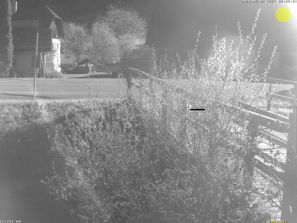 Camera Live Image