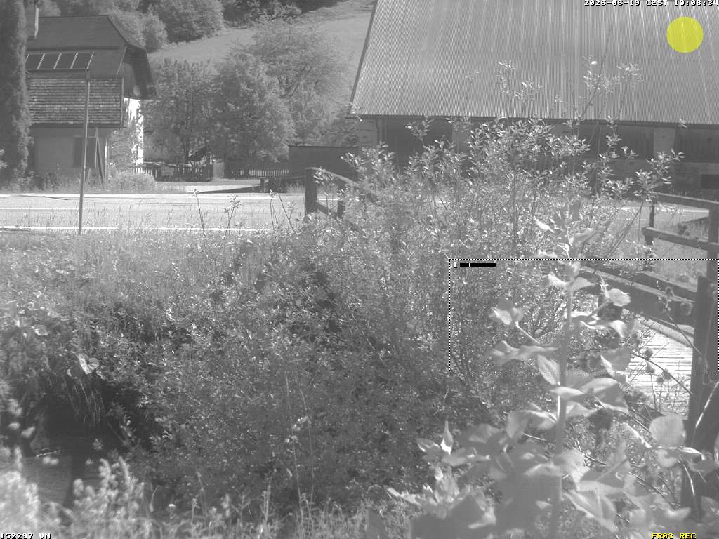 Camera Live Image