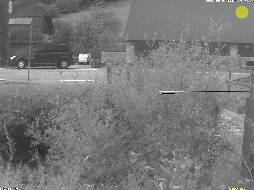 Camera Live Image