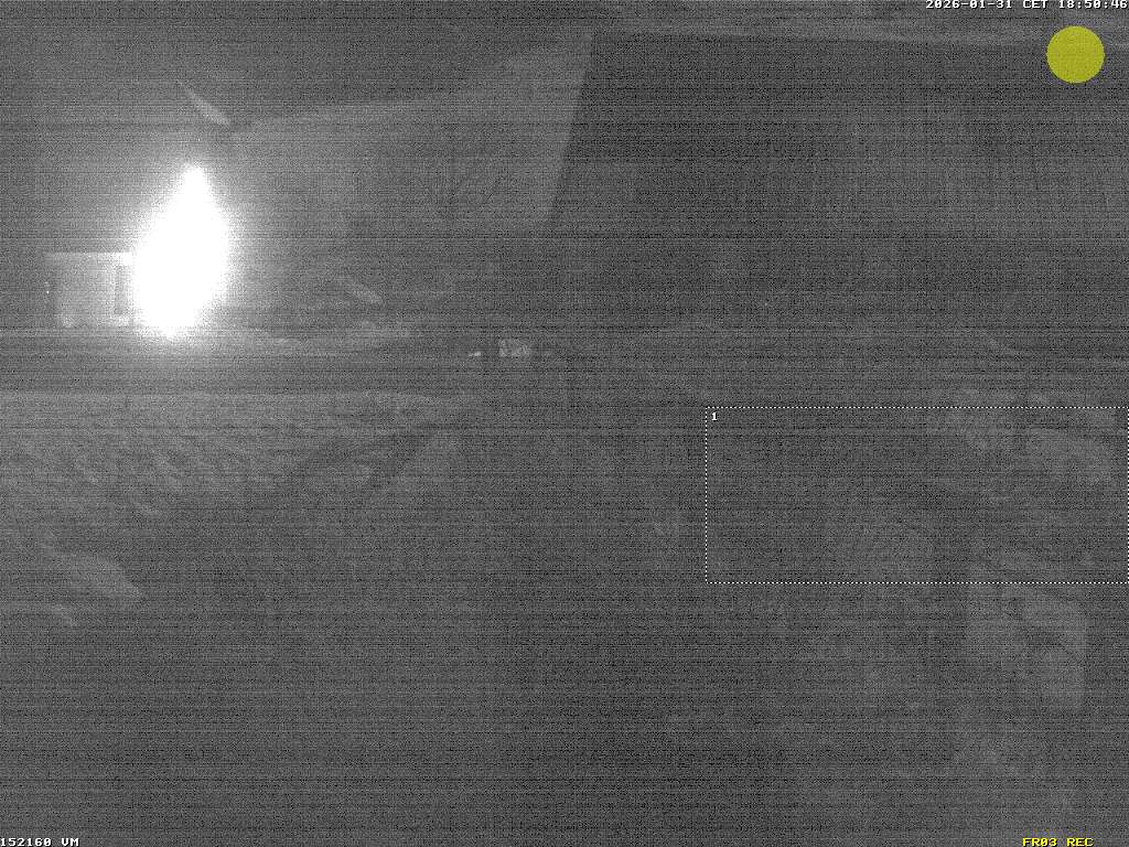 Camera Live Image