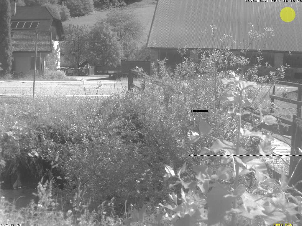 Camera Live Image